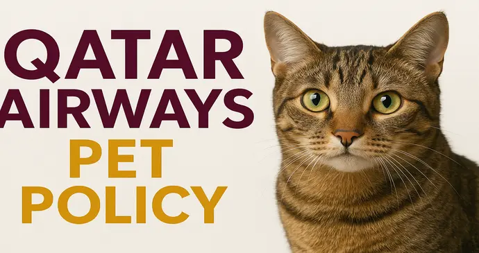 Qatar Airways Pet Policy_2025925235318.webp